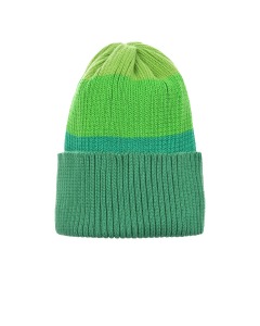 Зеленая шапка в полоску Regina